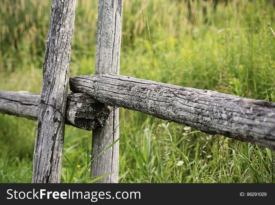 Wooden fence