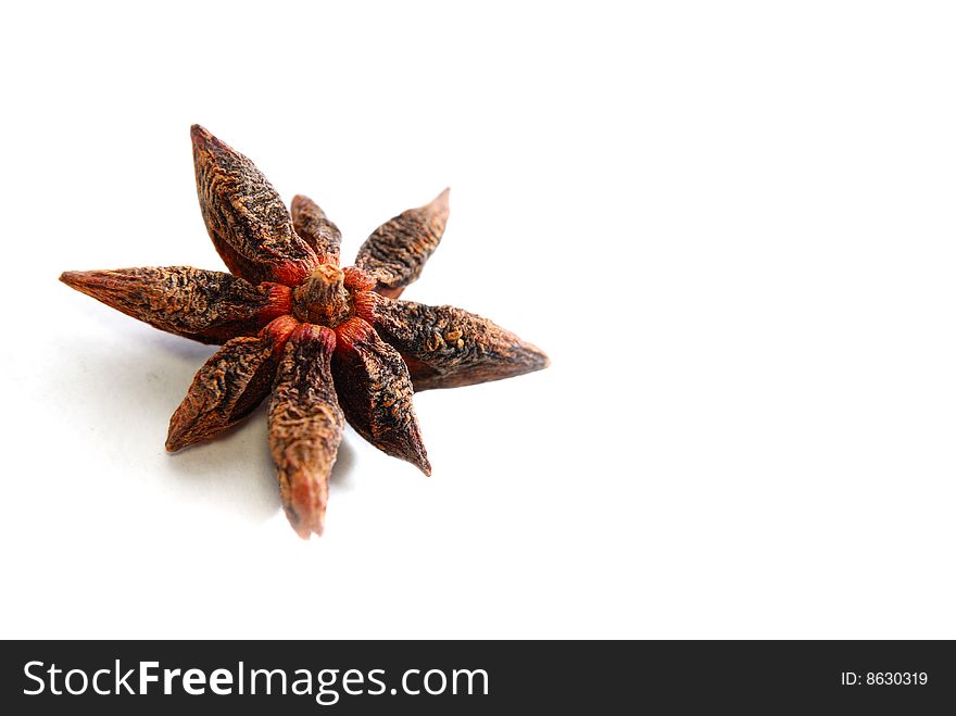 Isolated anise star in white background