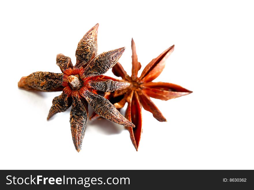 Close up anise star in white background