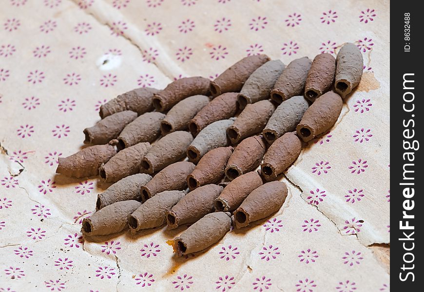 Closeup of naturally sorted wasp cocoons or nest. Closeup of naturally sorted wasp cocoons or nest.