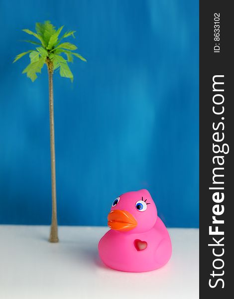 Pink rubber duck with palm tree and blue background