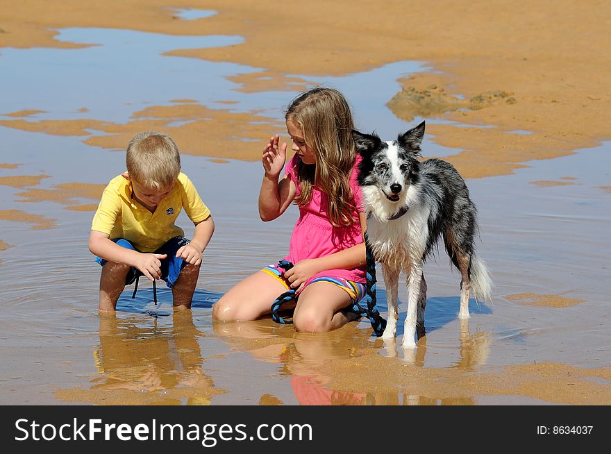 Children and dog playing in the water. Children and dog playing in the water