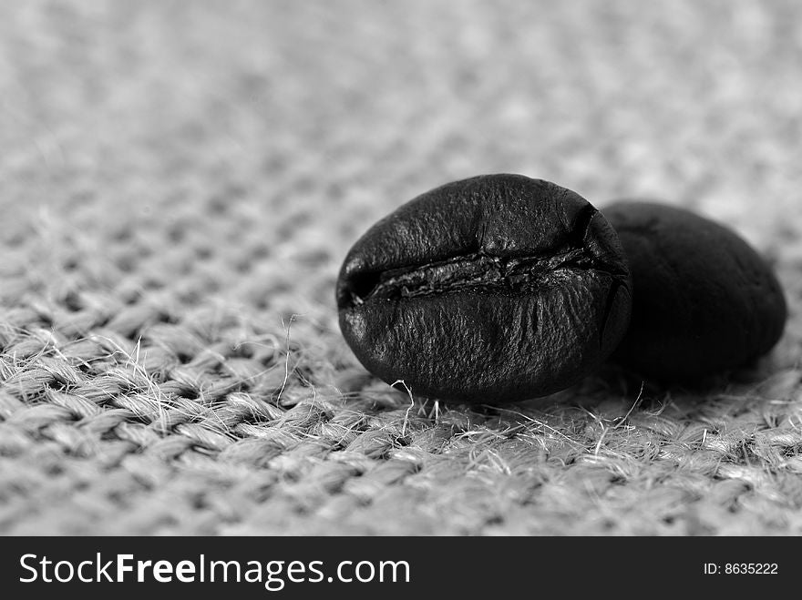 Two coffee grains on a rag background. Two coffee grains on a rag background