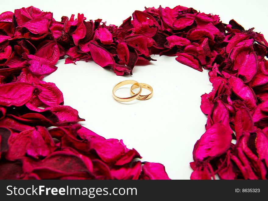 Wedding Rings In Red Rose Petals