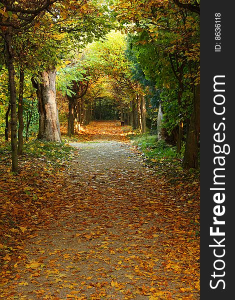 Beautiful autumn park in Buchlovice