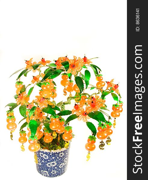 An auspicious, ornamental money plant bearing orange fruit
