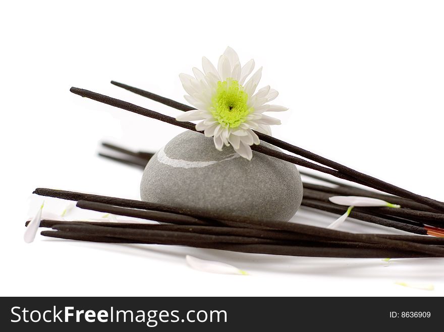 Aromatic sticks with white chrysanthemum flowers for relaxation and recreation. Aromatic sticks with white chrysanthemum flowers for relaxation and recreation
