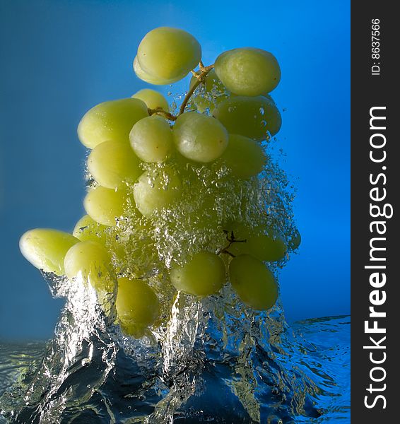 Grapes in water on a blue background