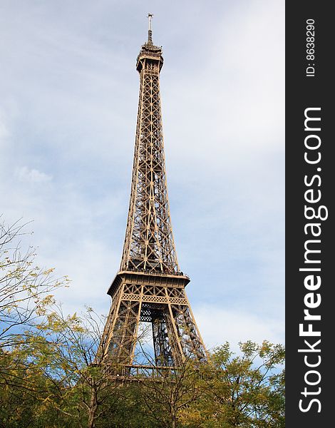 Eiffel Tower stands behind trees