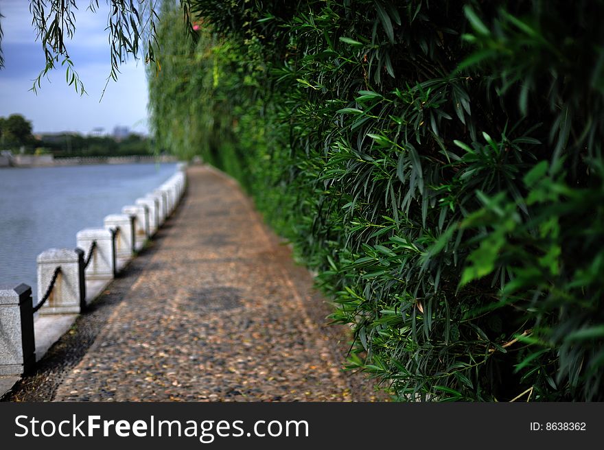 In summer ,you can see the green belt around Qinhuaihe River.There're many trees and green Plants.And also you can see buildings far away.