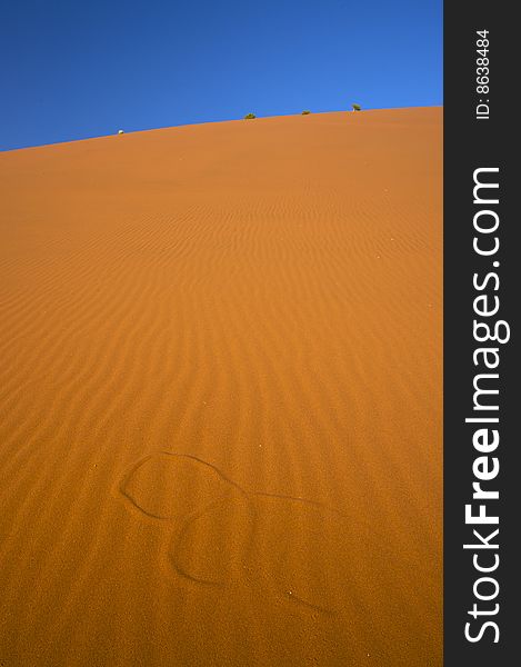 Desert Dunes With Blue Sky