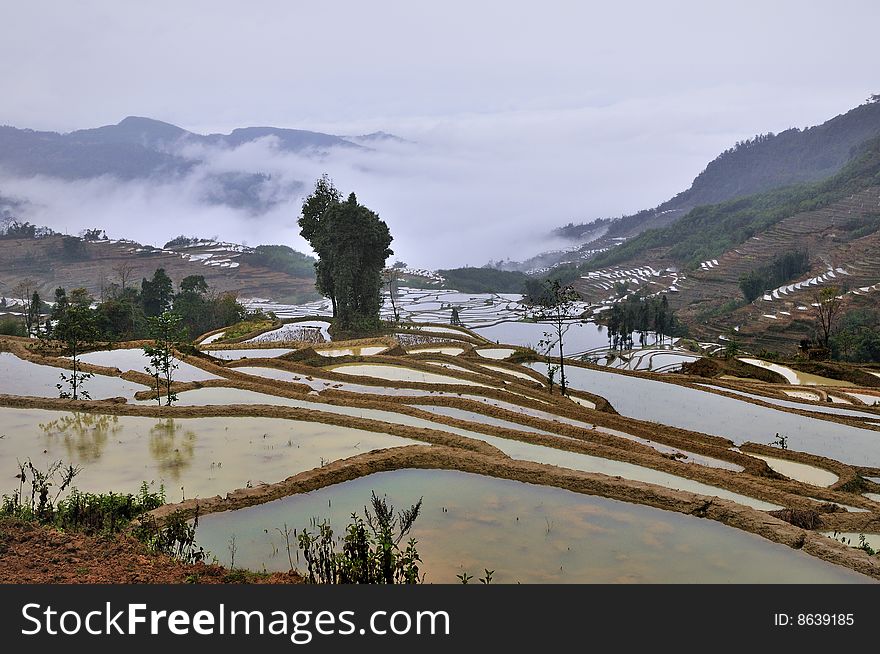 China Yunnan Hani Terrace View