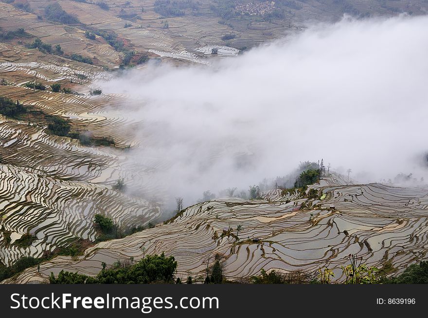 China Yunnan Hani Terrace View