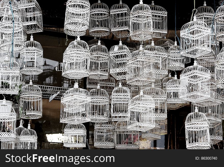 Bird Cages