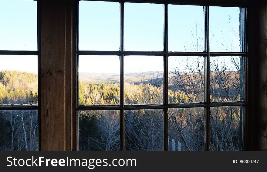 Window View