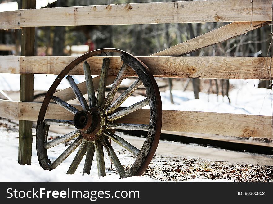 Fence & Old Wheel