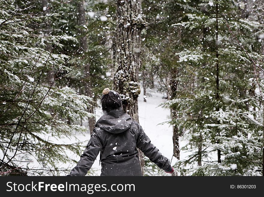 Walking In Winter Forest