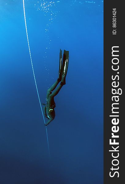 Free Diver