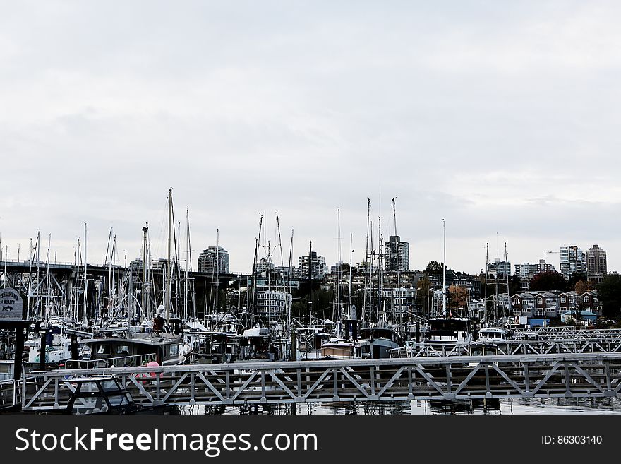 Boats Mast Forest