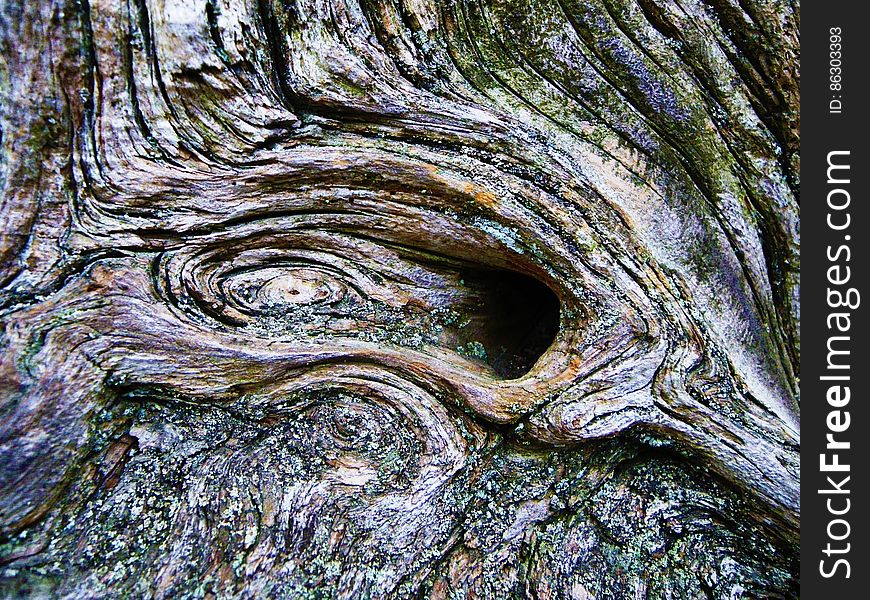Wood knot