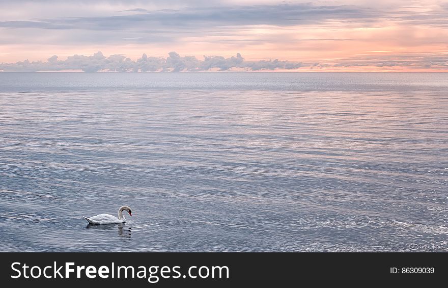 On the shore of Lake Ontario on a cold, autumn morning. On the shore of Lake Ontario on a cold, autumn morning.