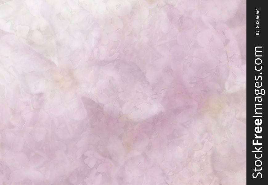Free texture - Lilac Dreams