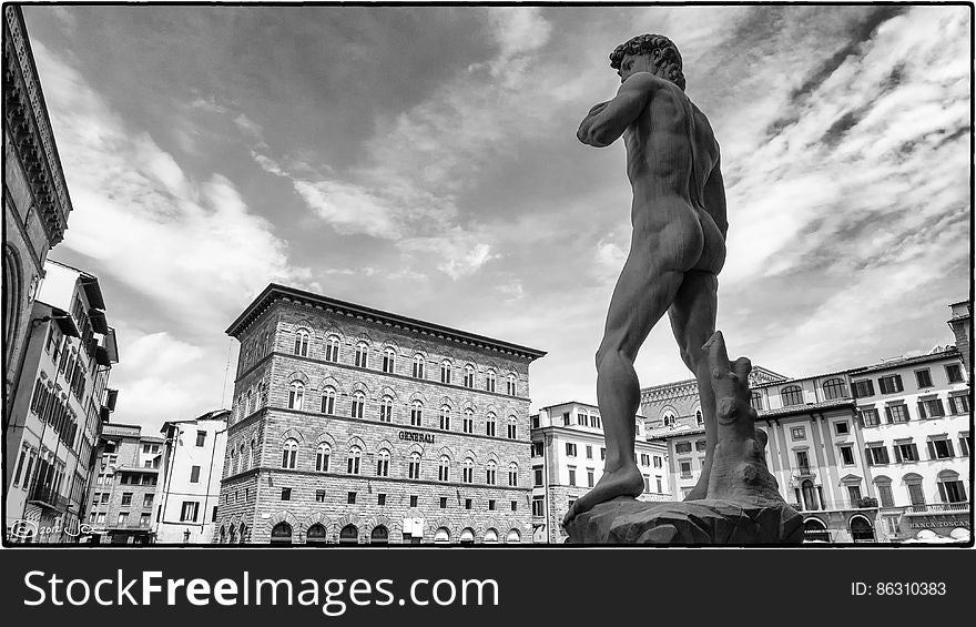 Michelangelo&x27;s David