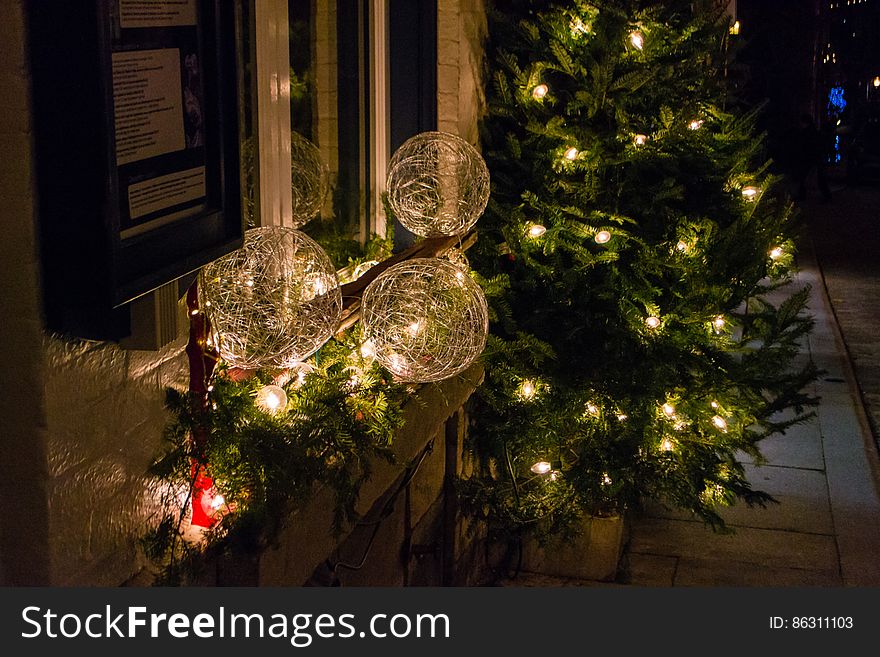 Christmas Tree, Property, Christmas Ornament, Light