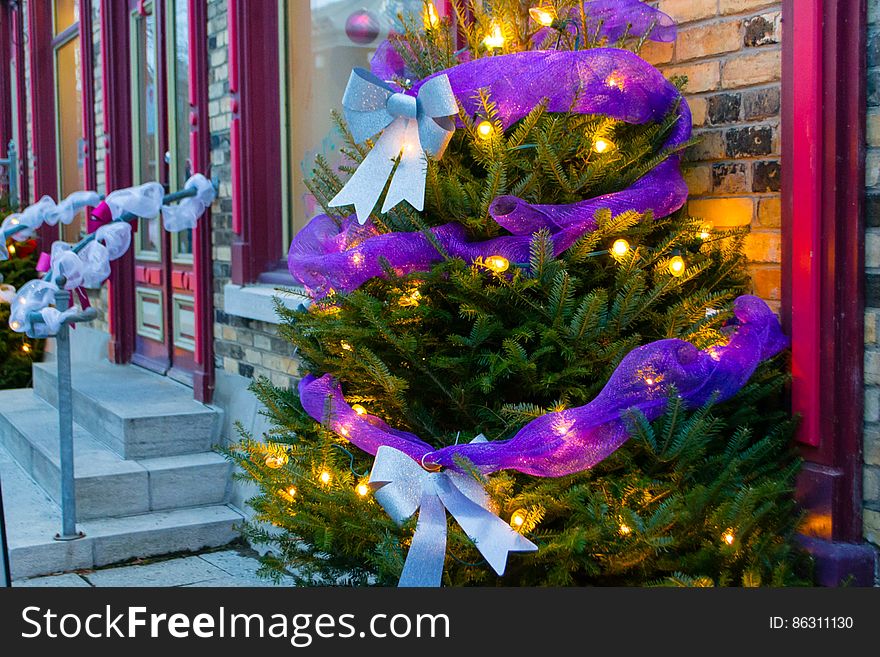 Christmas Ornament, Decoration, Christmas Tree, Purple