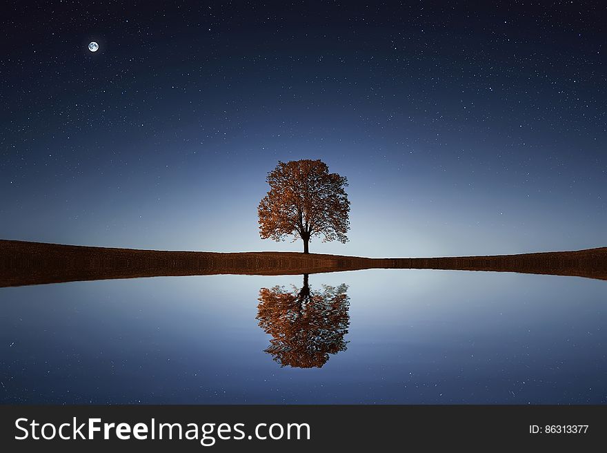 Tree reflecting in still waters of lake with moon in sky. Tree reflecting in still waters of lake with moon in sky.
