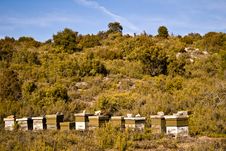 Beehives Royalty Free Stock Photography