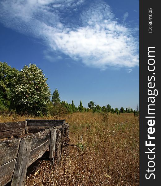 Forest shooting in Vojvodina, Serbia