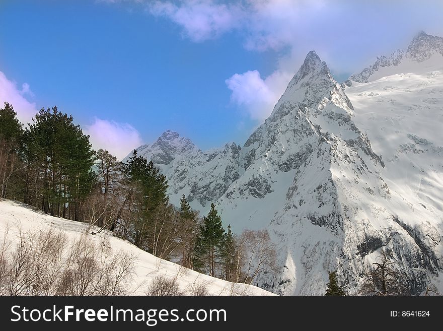 Caucasian mountain, snow and trees