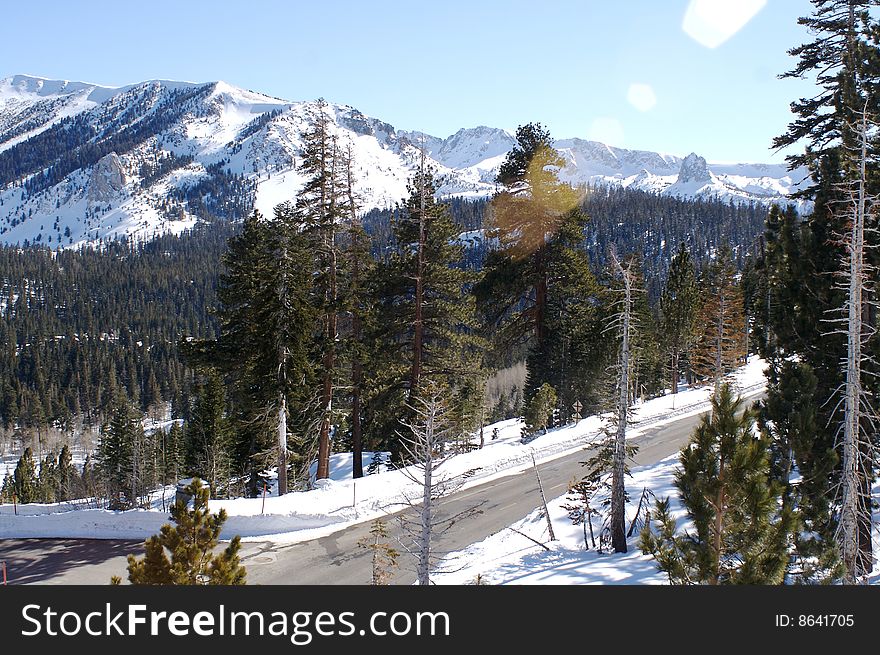 The view of an empty road at Mammoth Mountain from a trail. The view of an empty road at Mammoth Mountain from a trail