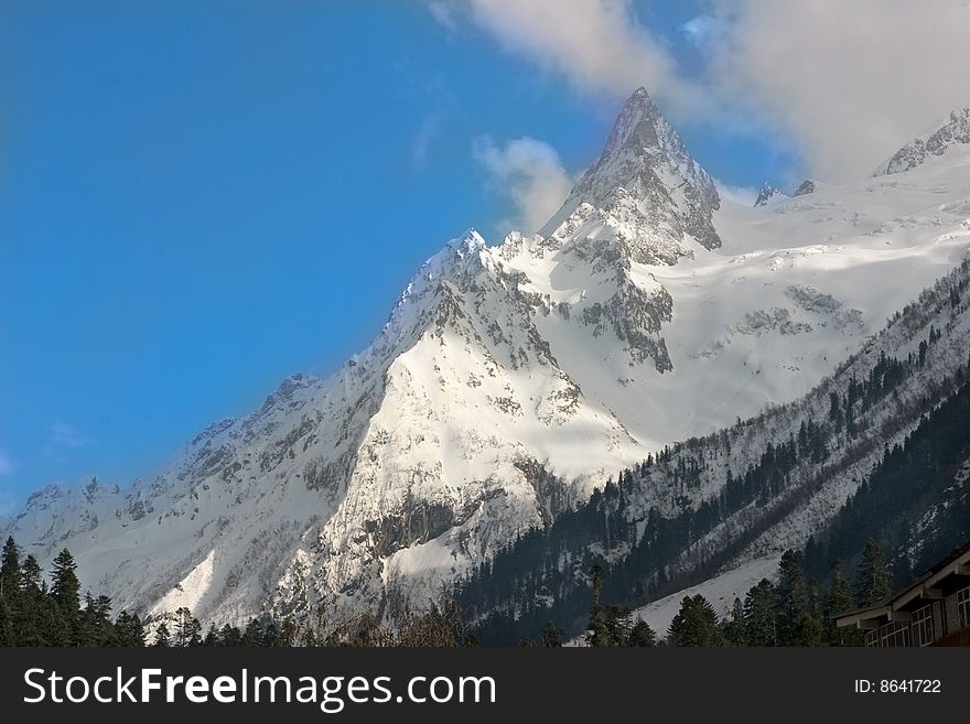 Caucasian mountain, snow and tree