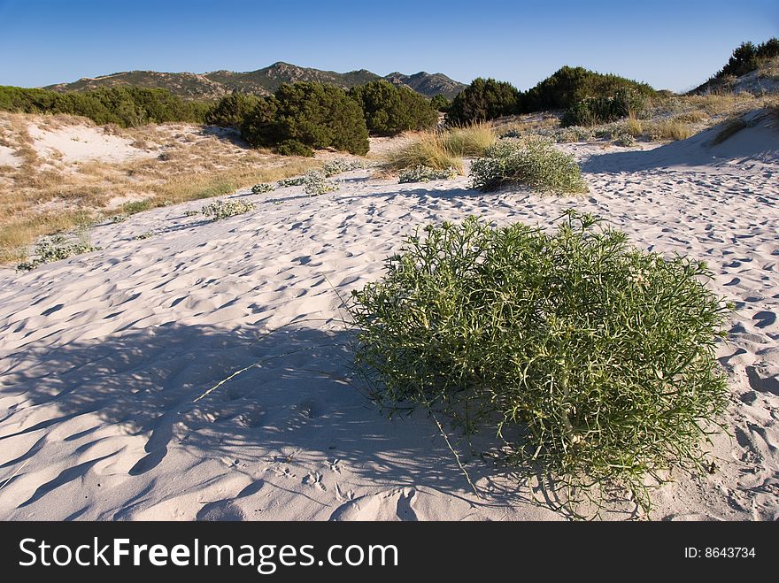 Sardinia landscape in Tavolara island