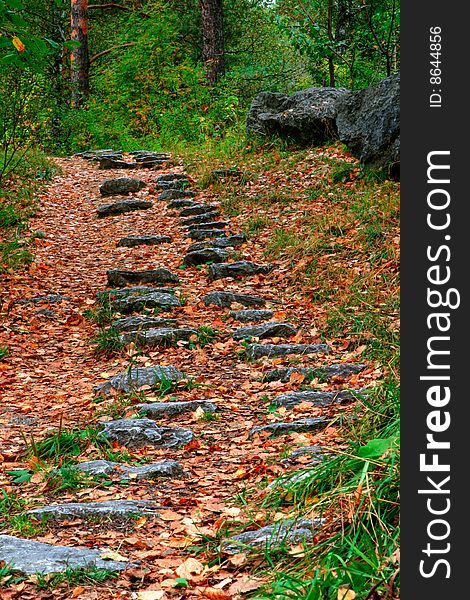 Old path from the wet stone, laid in wood. Old path from the wet stone, laid in wood