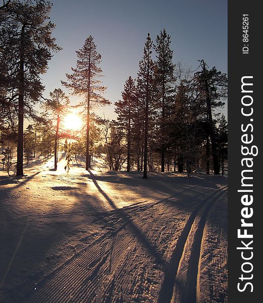 The sun sets behind trees on ski tracks. The sun sets behind trees on ski tracks.