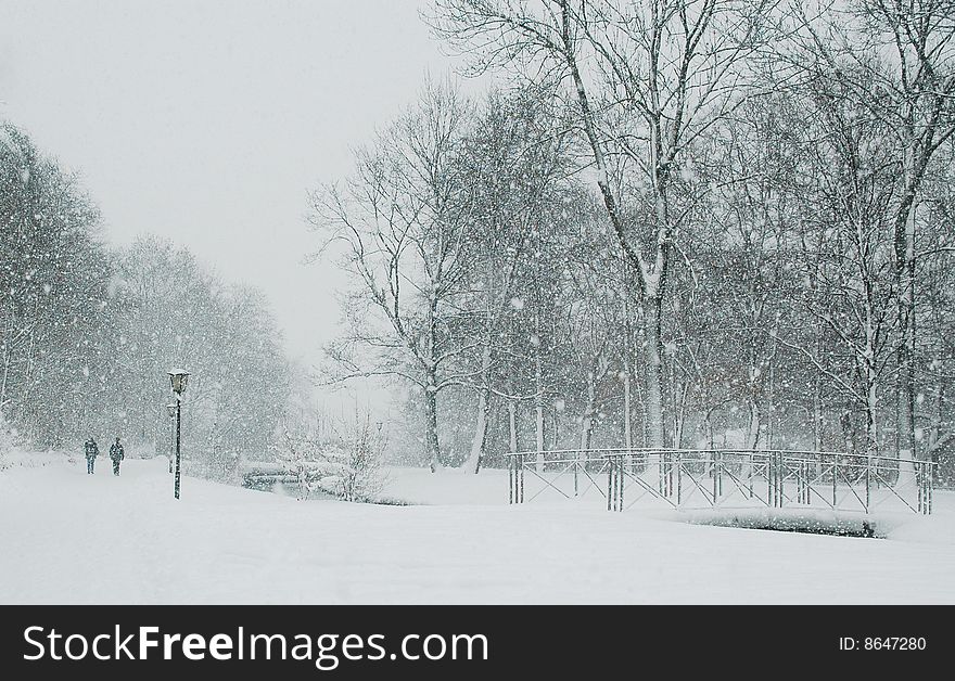 Scene in a park in winter during snowfall. Scene in a park in winter during snowfall