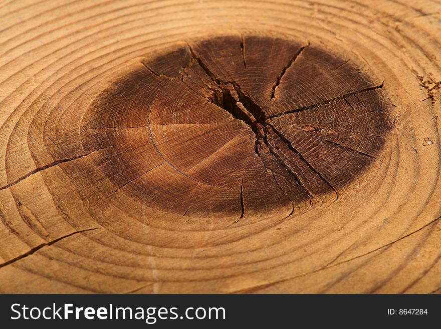 Structure of a wooden board with snag. A close up. Structure of a wooden board with snag. A close up