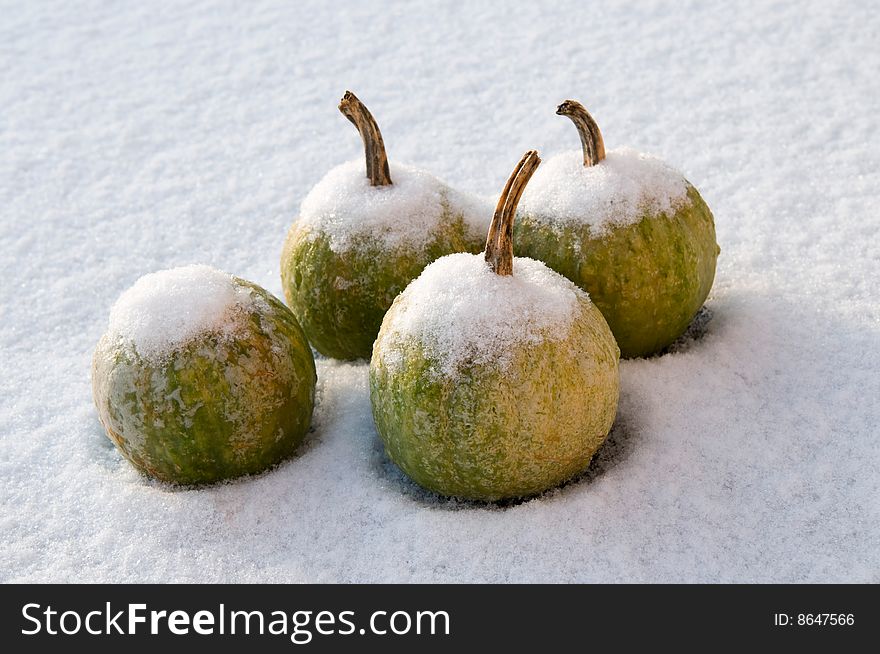 Four pumpkins in the snow