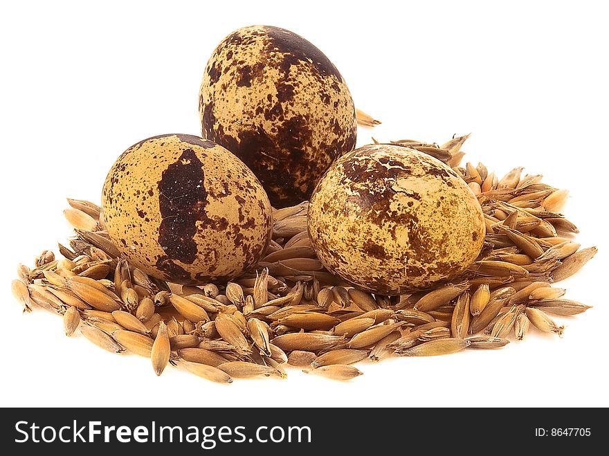 Quail eggs isolated objects on the white background