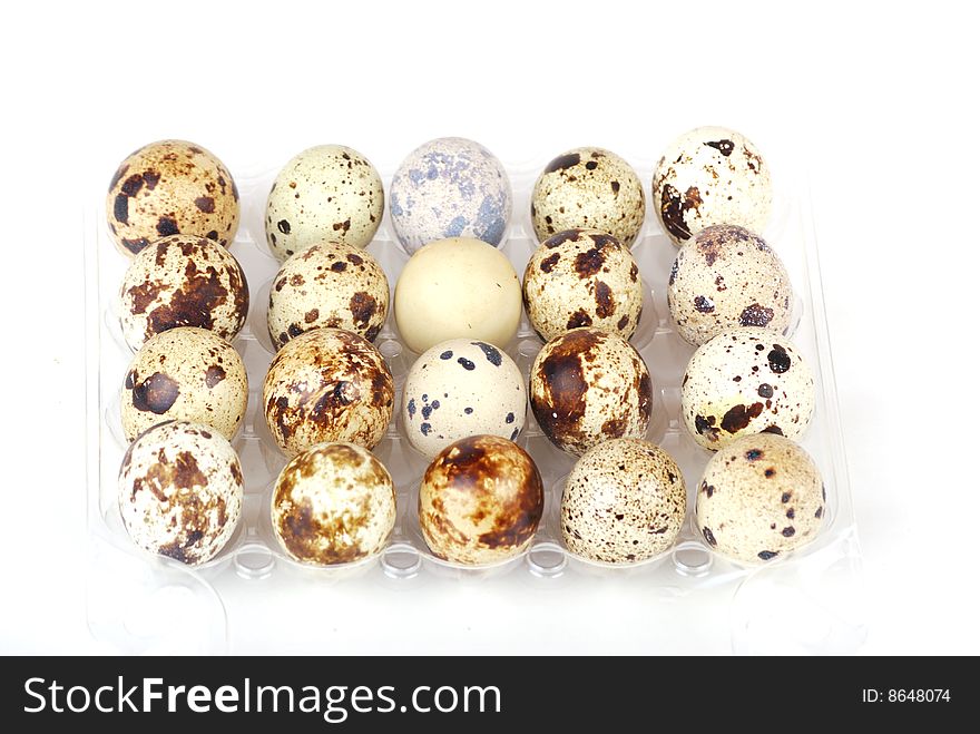 Egg. White eggs and eggs in a speck.