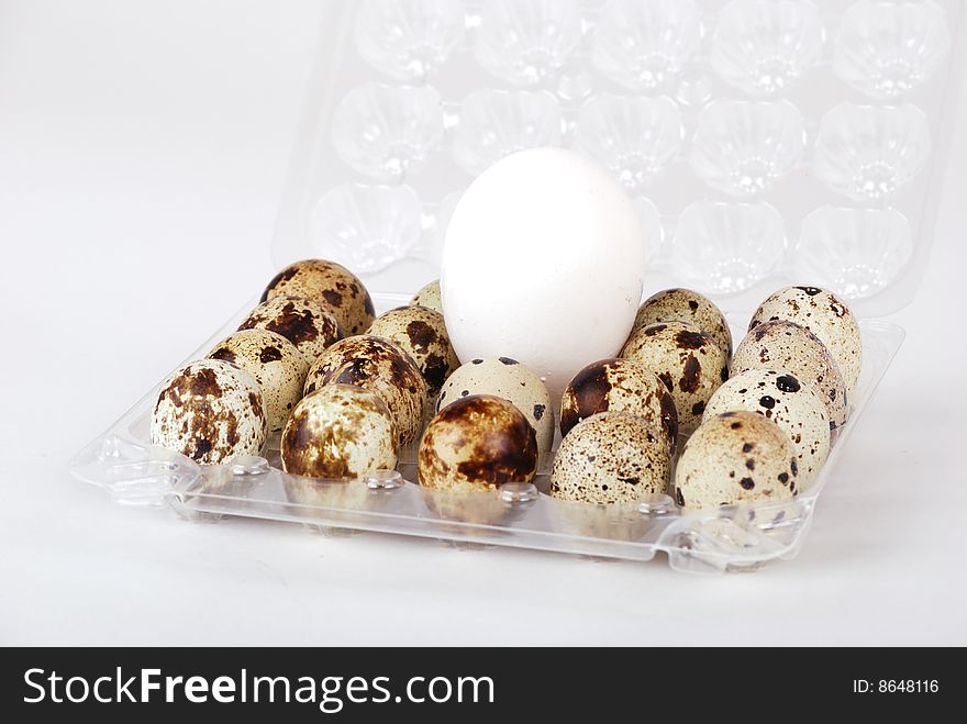 Egg. White eggs and eggs in a speck. Egg. White eggs and eggs in a speck.