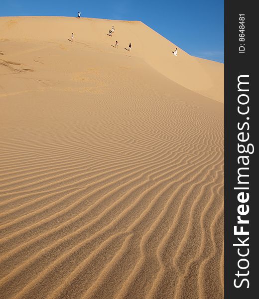 Golden desert under the blue sky. Golden desert under the blue sky