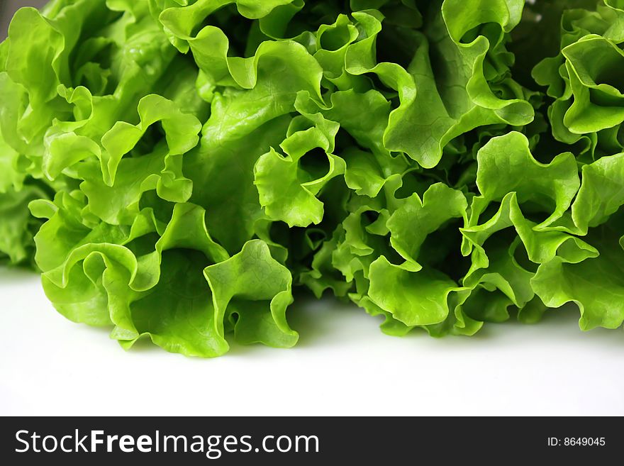 Fresh lettuce isolated on white background