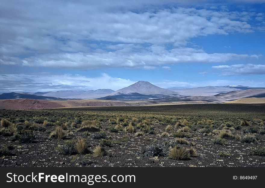 Wide Landscape In Bolivia,Bolivia