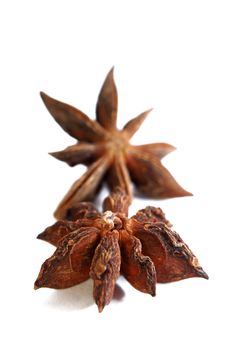 Anise Star Stock Images Anise Star Stock Images