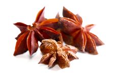 Anise Star Stock Photography Anise Star Stock Photography