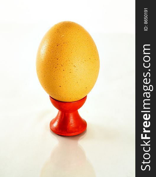 One vertical egg isolated on white background